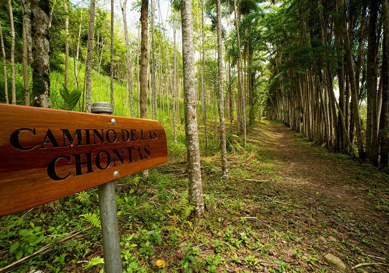 Fundo San Jose Parque Ecologico & Lodge Hotel Asociado Casa Andina لا ميرسيد المظهر الخارجي الصورة