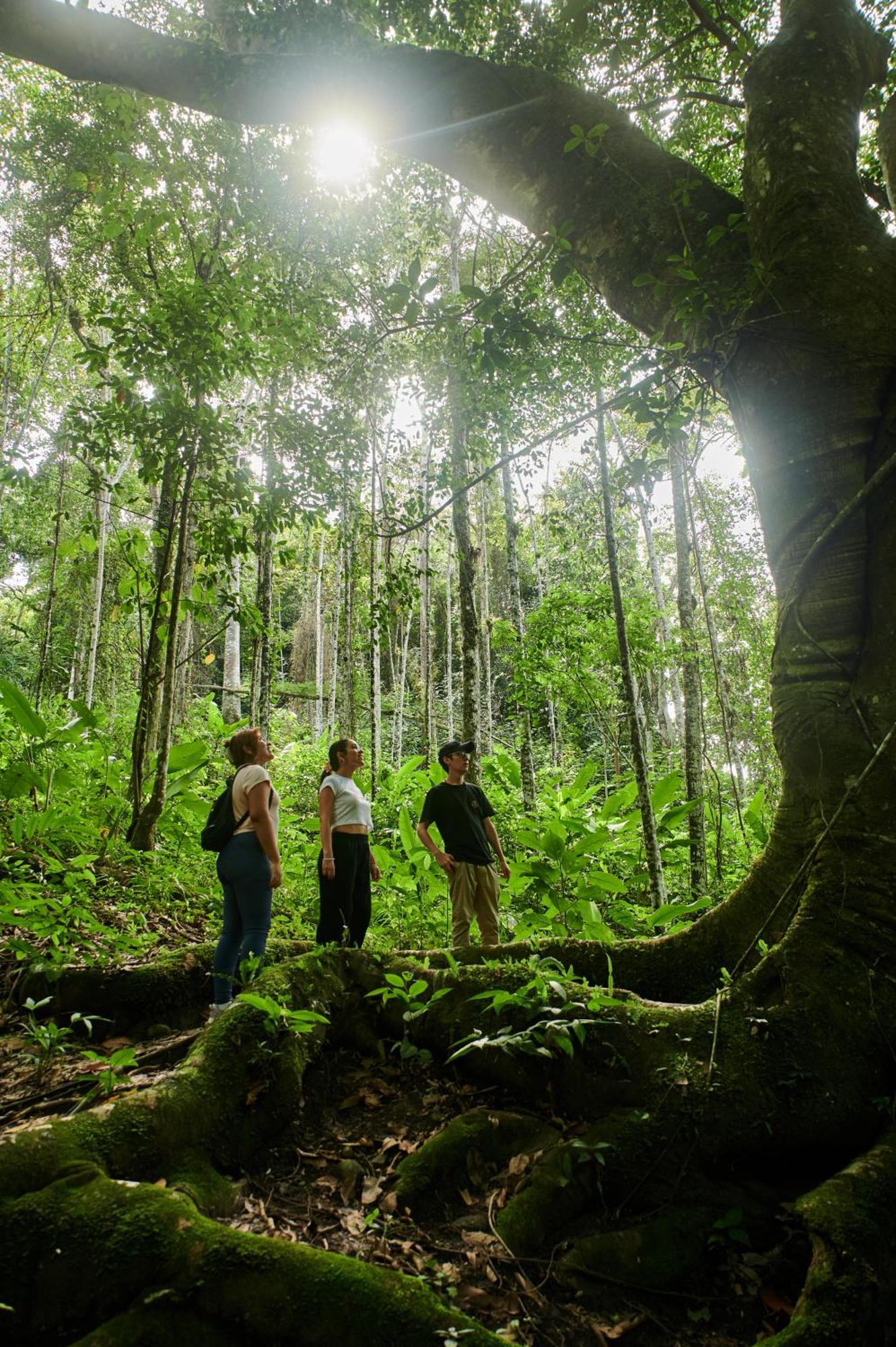 Fundo San Jose Parque Ecologico & Lodge Hotel Asociado Casa Andina لا ميرسيد المظهر الخارجي الصورة