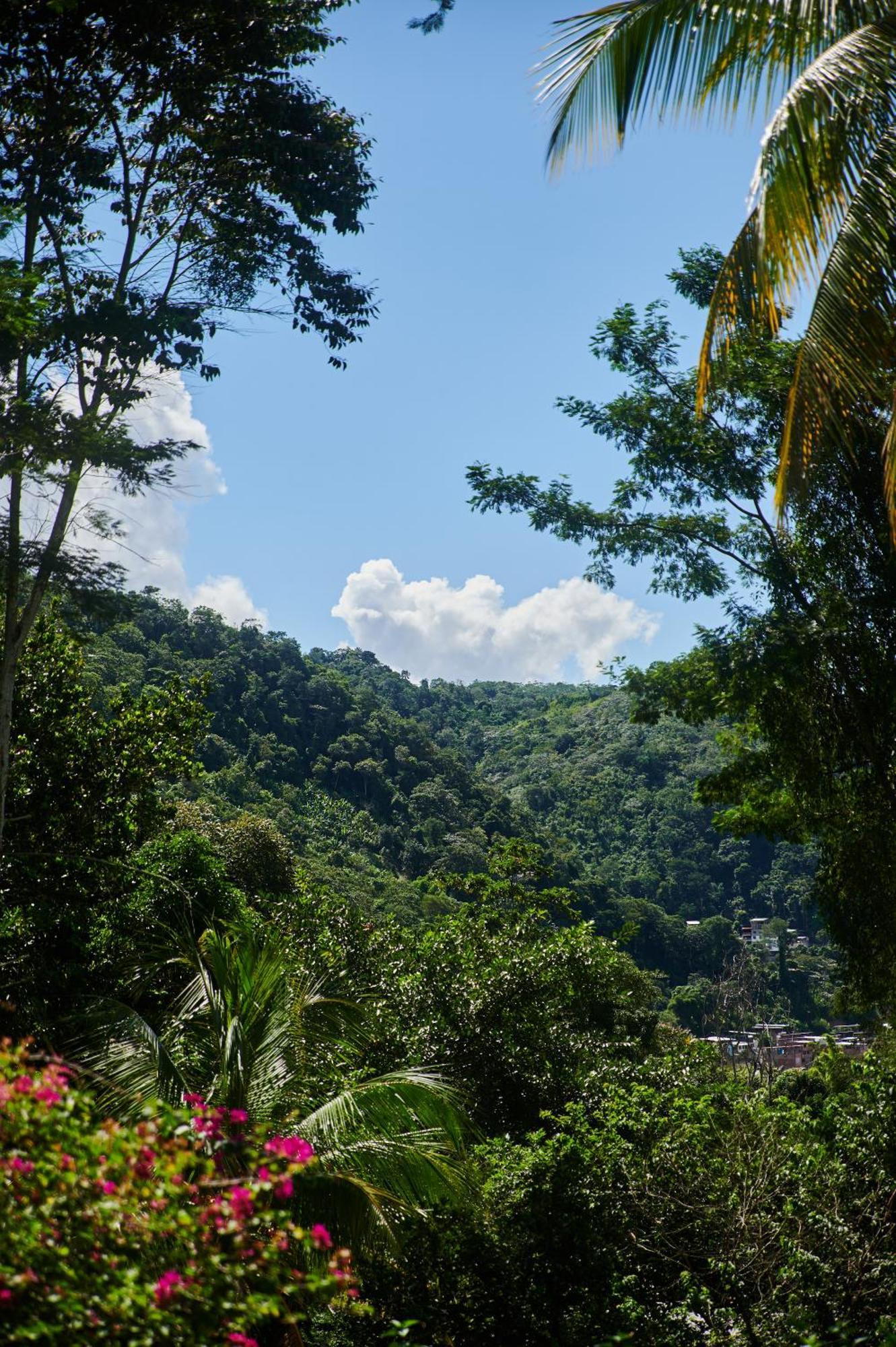 Fundo San Jose Parque Ecologico & Lodge Hotel Asociado Casa Andina لا ميرسيد المظهر الخارجي الصورة