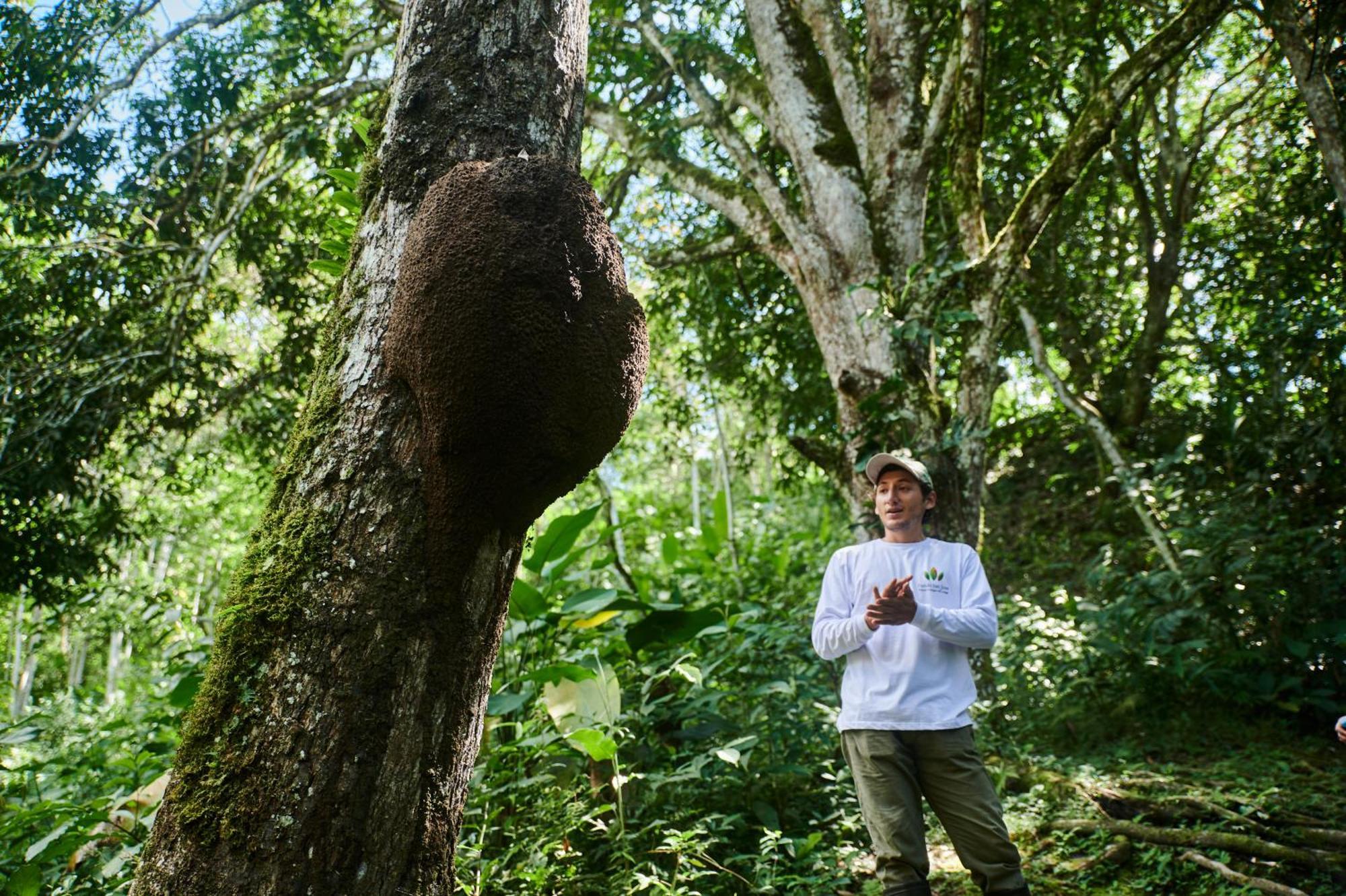 Fundo San Jose Parque Ecologico & Lodge Hotel Asociado Casa Andina لا ميرسيد المظهر الخارجي الصورة