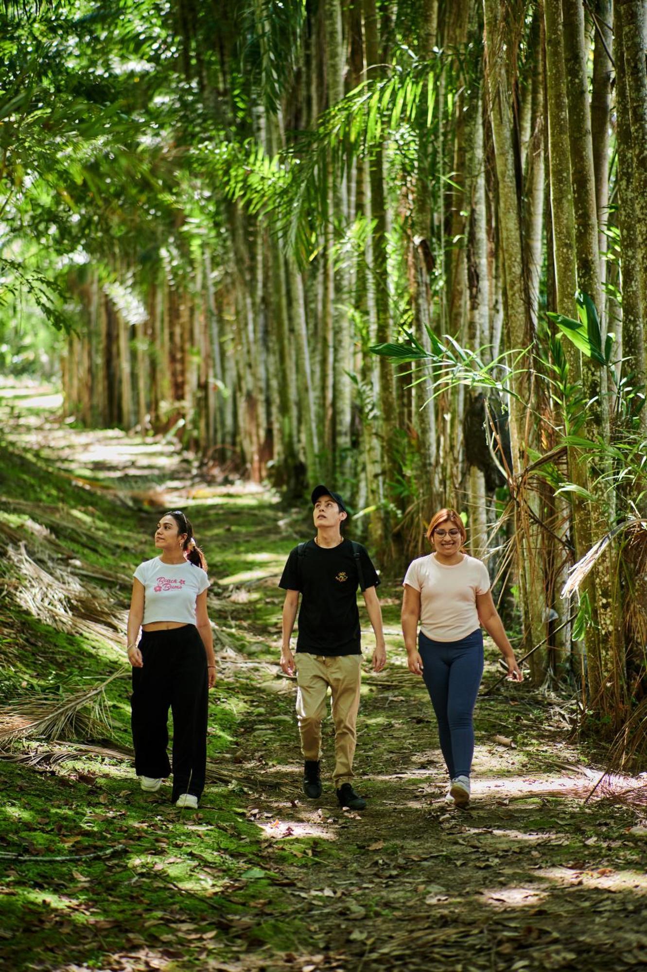 Fundo San Jose Parque Ecologico & Lodge Hotel Asociado Casa Andina لا ميرسيد المظهر الخارجي الصورة